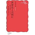 世界史とは何か 「歴史実践」のために (岩波新書シリーズ歴史総合を学ぶ 3)