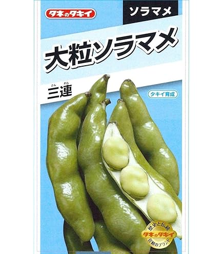 Amazon | 株式会社トーホク 一寸そら豆 06327 | 野菜
