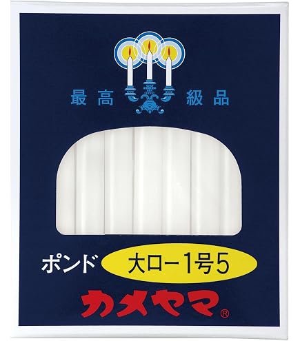 Amazon.co.jp: 金環ソテツ 7号 最高等級極上品 : ホーム＆キッチン