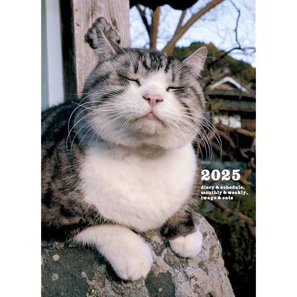 岩合光昭 ニッポン看板猫 NFTデジタル特典付特装版 | 岩合光昭 |本