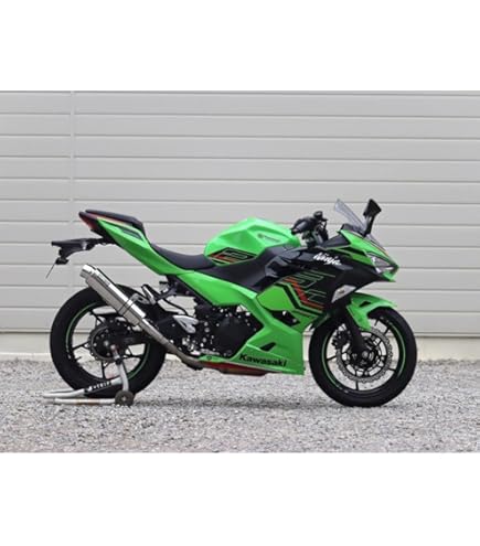 Amazon | ダブルアールズ(Wr'S) Z250 19-(2BK-EX250P)/Z400(2BL