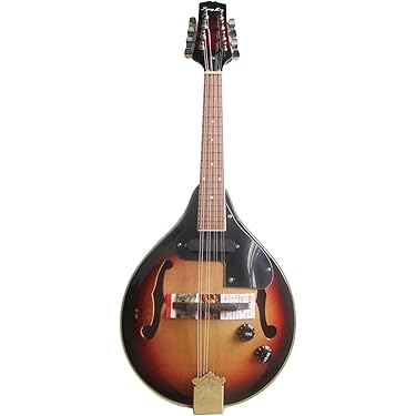 Amazon.co.jp 売れ筋ランキング: マンドリン の中で最も人気のある商品です