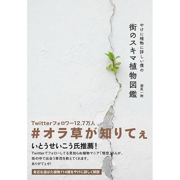 やけに植物に詳しい僕の街のスキマ植物図鑑 | 瀬尾 一樹 |本 | 通販