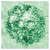 �W���s�^(���񐶎Y�����/�^�C�vH)