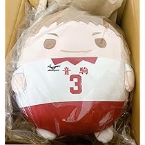 Amazon.co.jp: 夜久衛輔 ふわコロりん BIG : ホーム＆キッチン