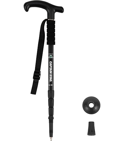 Amazon | シナノ（SINANO） トレッキングポール ステッキタイプ 4C-R