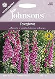 【輸入種子】 Johnsons Seeds Wild flowers Foxglove ワイルドフラワーズ フォックスグローブ ジョンソンズシード
