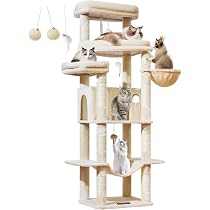 Amazon | Taoqimiao キャットタワー 高さ180cm 大型猫用 多頭飼い 猫