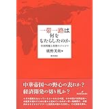 一帯一路は何をもたらしたのか: 中国問題と投資のジレンマ