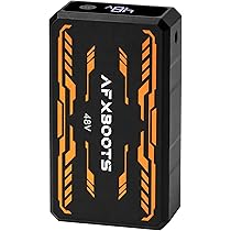 Amazon.co.jp: LABEWVI バッテリー 48V 40000mAh 6段階風量調整 熱中症
