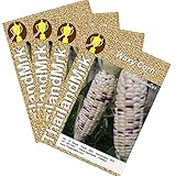 ワキシーコーン Thai Waxy Corn 4 Bulk ThailandMrk