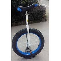 ひひま　20インチ外用一輪車 合金リム付き楽しい20インチホイール一輪車キッズehoホイール