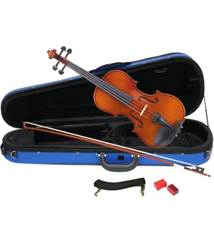 Amazon | EASTMAN VL80ｾｯﾄ 4/4 バイオリンセット (イーストマン