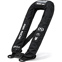 Amazon | BASARO (バサロ) 国土交通省型式承認品 桜マーク タイプA