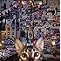 BUCK-TICK「CATALOGUE 1987-2016(通常盤)」