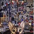CATALOGUE 1987-2016 (通常盤)