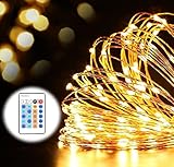 RUICAIKUN イルミネーション 防水ライト 50ft 100球LEDライト リモコン付き 屋外ガーデン クリスマスツリー飾り LED ジュエリーライト LED ワイヤーライト 飾り/電飾 (ウォ