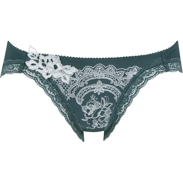 サルート67 Amazon.co.jp: [サルート] ワコール wacoal salute PTJ767 67