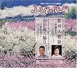 �ӂ闢�̖��x ��47�W-3