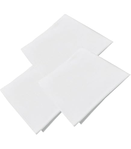 Amazon.co.jp: ハンカチ 白 無地 53cm 5枚 キャンブリック 綿100