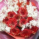 赤薔薇 レッドローズ 赤バラ 赤いばら ゴールドラメ付き10本とキラキラ白いかすみ草の花束 クリスマス、お誕生日、お祝いにお届け