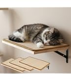 nao　猫ちゃんステップ キャットウォーク 5枚セット Amazon.co.jp: Bonarca キャットステップ 壁 【5個セット/1個あたり