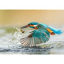 群馬グリーンウィングスポスター、ファイル m78143121543_1.jpg?1745718528