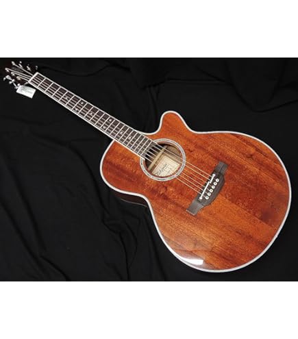 Amazon | TAKAMINE タカミネ DMP500 VTS エレアコ | エレアコギター