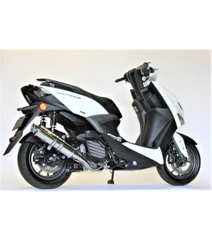 Amazon | SPタケガワ サイレントスポーツマフラー シグナス-X SR(SEA5J