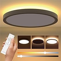 Amazon.co.jp : 【hidemasa】シーリングライト LED 間接照明