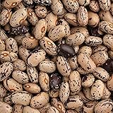 昔うずら豆 - 北海道産 国産　煮豆やサラダ、スープなどいろいろなお料理につかえる万能豆♪ (1000g)