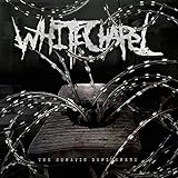 SOMATIC DEFILEMENT [LP] ('COOL GRAY' MARBLE COLORED VINYL)[Analog]