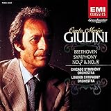 �����ȑ�7�ԃC����