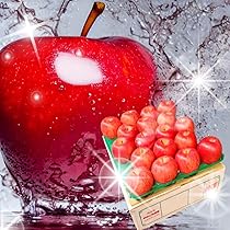 Amazon.co.jp: 【5キロ】 高糖度 光センサー選果 りんご 青森県産 訳