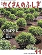 くりばやし (月刊たくさんのふしぎ2018年11月号)