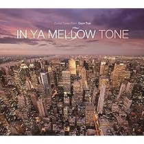 Amazon.co.jp: IN YA MELLOW TONE 7: ミュージック