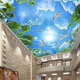 3 D 室ベッドルームのテレビの背景天井座席スカイ壁紙 BQ 395 契約
