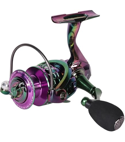 E Support 10BB Ball Bearing Saltwater Left/Right Fish Fishing Spinning Reel 5.5:1 EF1000 : Amazon.com.au: Sports, Fitness & Outdoors E Support 10BB Ball Bearing Saltwater Left/Right Fish Fishing Spinning Reel 5.5:1 EF1000 : Amazon.com.au: Sports, Fitness & Outdoors