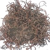 高知産　天然乾燥ぜんまい　２００ｇ