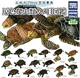 カプセル 立体カプセル百科事典 原色爬虫類カメ目図鑑 全15種セット