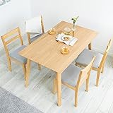 【5点セット】アイリスプラザ ダイニングテーブル セット 木製 インテリアに馴染みやすい (テーブル×1、チェア×4) DTCS-5 テーブル:幅120×奥行75×高さ72㎝ オークグレー