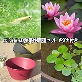 (ビオトープ/睡蓮)はじめての熱帯性睡蓮セット メダカ+浮草他付 睡蓮濃ピンク+鉢450レッドベリー 説明書付 (休眠株) 本州・四国限定[生体]
