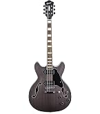 Amazon | GUILD (ギルドギター) フルアコギター Canyon Dusk X-175