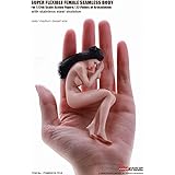 TBLeague 1/12 スケール フィギュア 素体 シームレス ボディ グラビアモデル素体セット 白色肌 PHMB2018-T01A