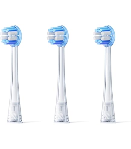 Amazon.co.jp: 【2026春色さくらモデル｜次世代ジェット式】RANVOO