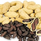 【メール便配送】国華園　野菜たね　落花生　黒ピーナッツ　1袋(25ml)【※発送が国華園からの場合のみ正規品です】