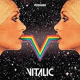 Voyager [12 inch Analog]