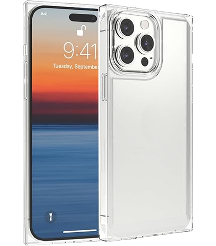獅子頭 ガラスケース入り Amazon.co.jp: WIND BREAKER 獅子頭連 スクエア強化ガラスiPhone