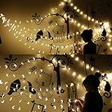 ムーンストリングライト、19.7フィート40 LEDの妖精の文字列のライトは、クリスマスホームウェディングパーティーベッドルームの誕生日の装飾（暖かい白）