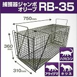 捕獲器ジャンボ オリーブ RB35